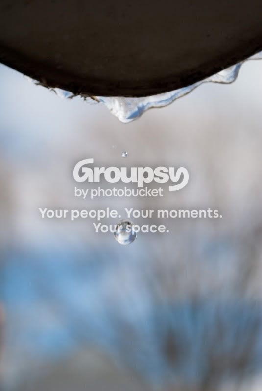 drop.jpg