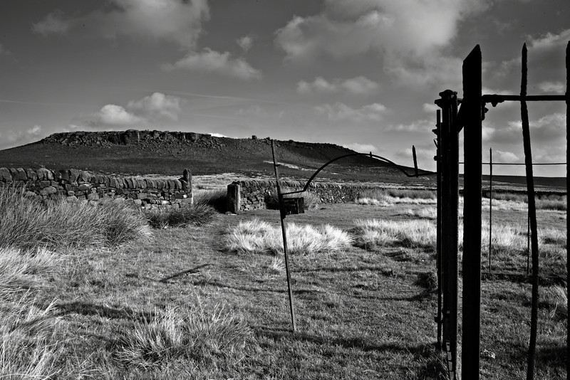 IMG5540b-w-L.jpg