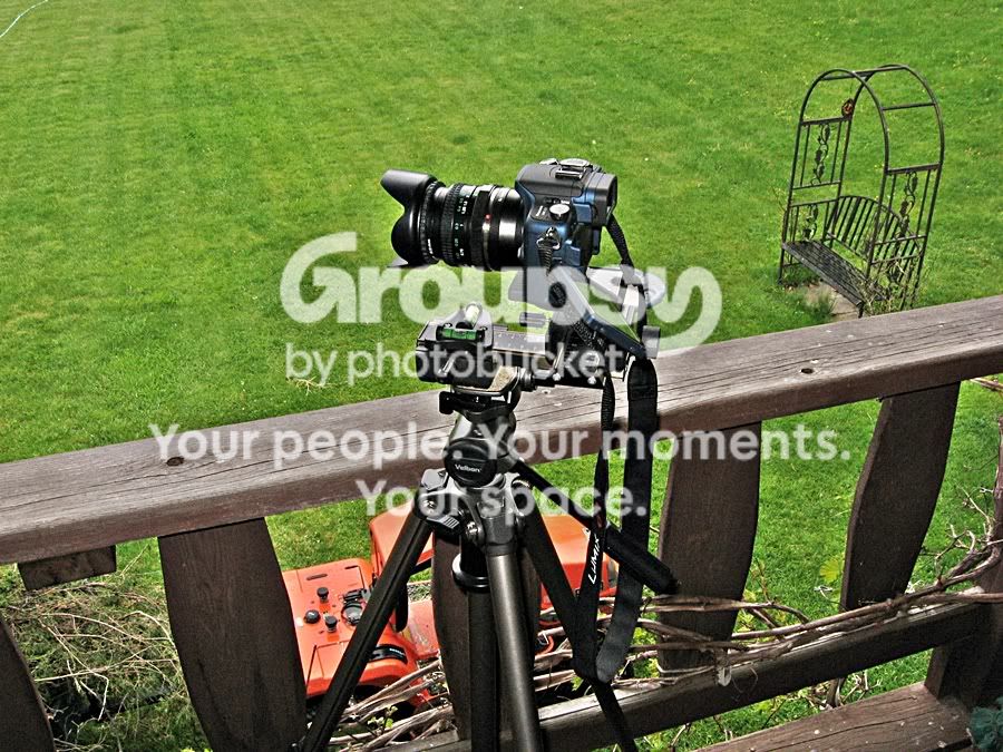 IMG_2316sm.jpg
