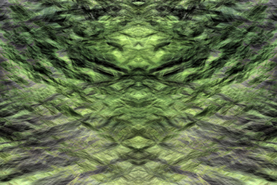 guru_by_er111a-d45s55r.jpg