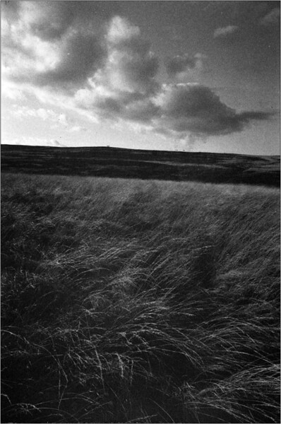 img860-L.jpg