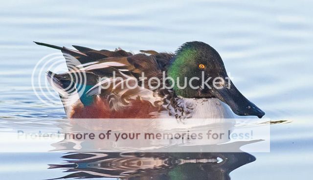 IMG_0663-Edit.jpg