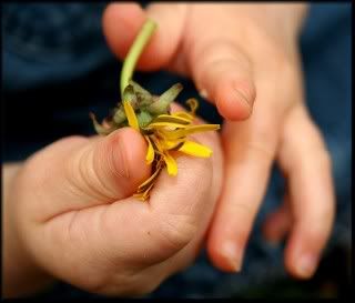 jaceyhandsflower.jpg