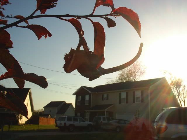 PhotoShoot4-30-07029.jpg