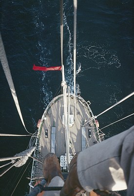 1093651-medium.jpg