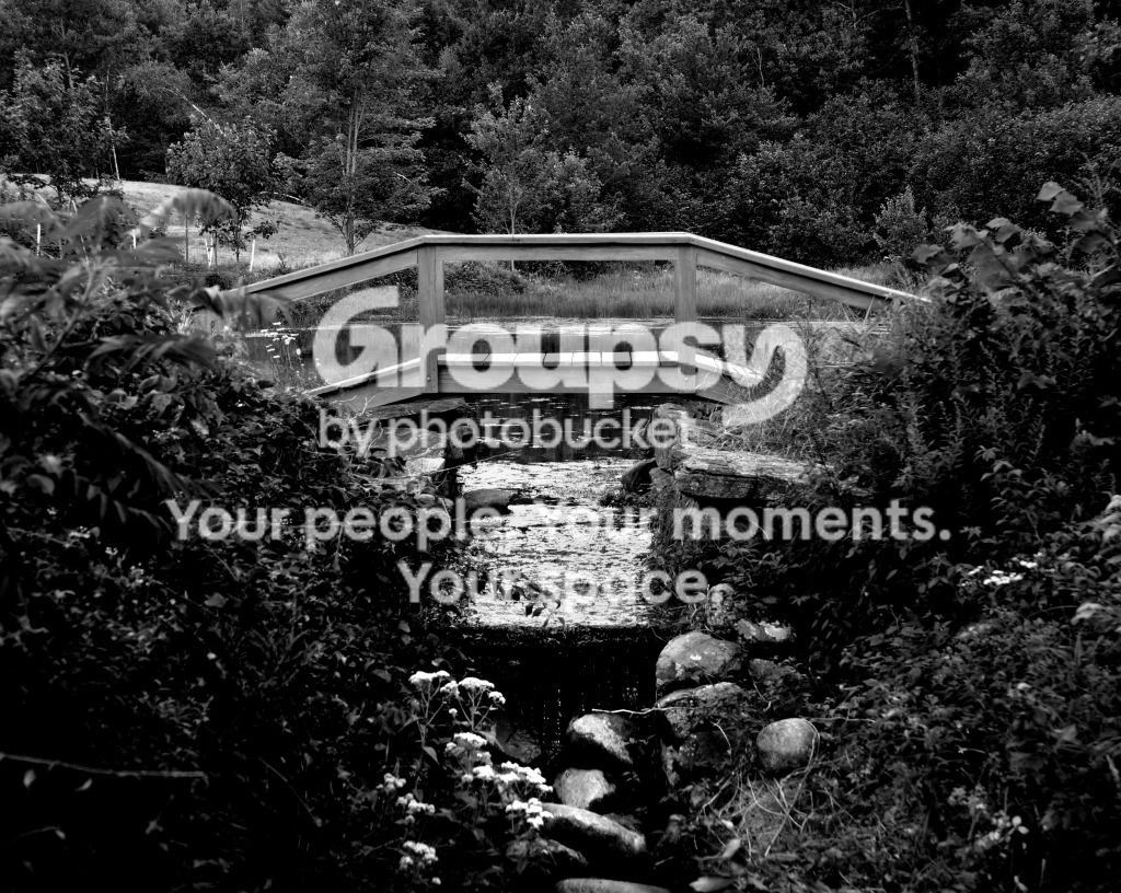 canterberrybridge.jpg