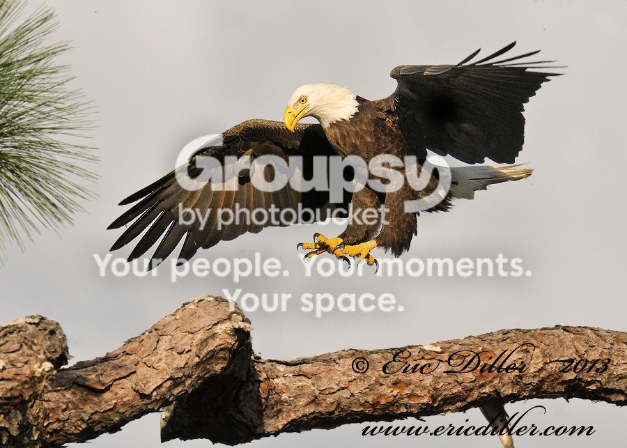 _EEE2107nx-copy900.jpg
