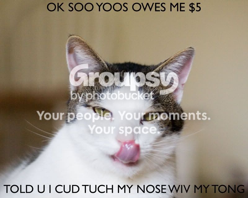Mellow-Toungue.jpg