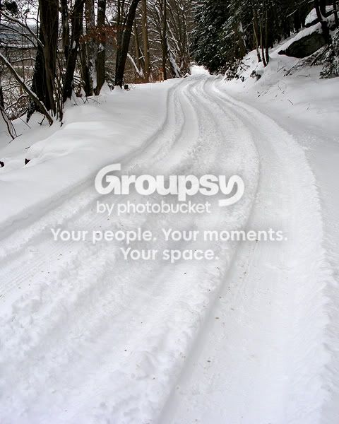 20090111DSCF8934.jpg