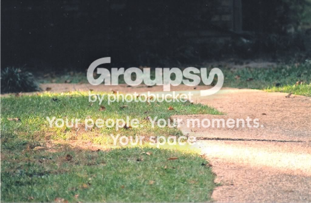 scan0007.jpg