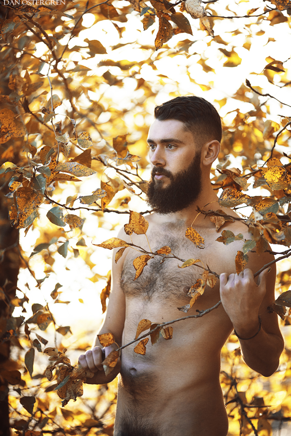 mg_1015_by_danostergren-d6sjlfd.jpg