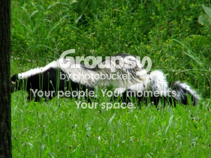 IMG_4219sm.jpg
