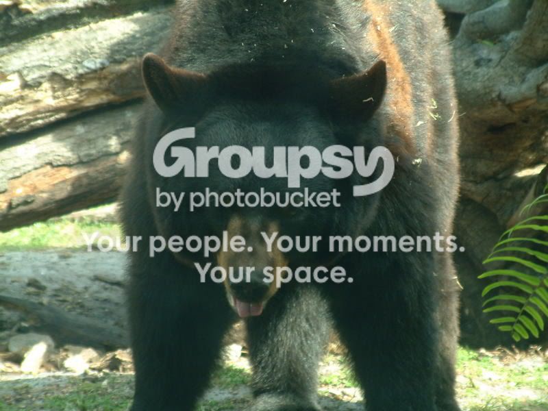 DSCF2709.jpg