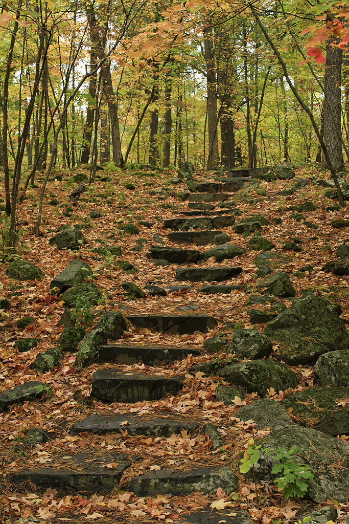 stairs.jpg