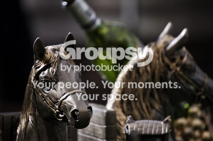 _DSC0007.jpg