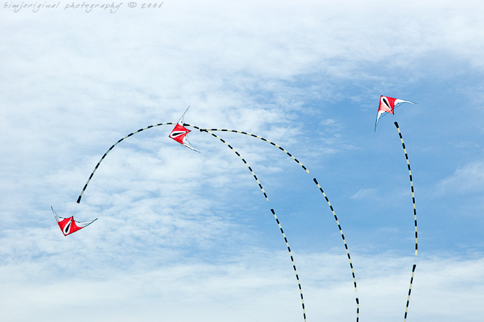 newport_kites060904_04.jpg