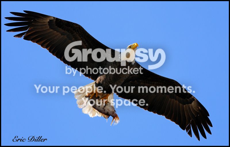 PIC_2040copy.jpg