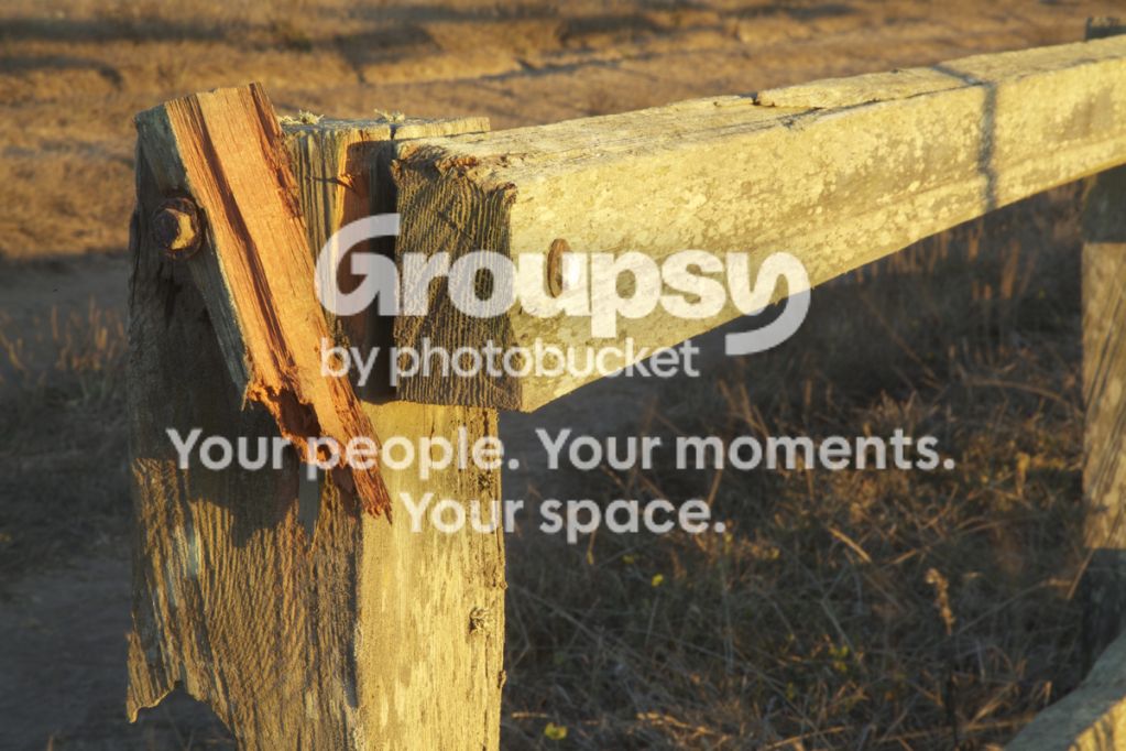 Fence-SmallSize.jpg
