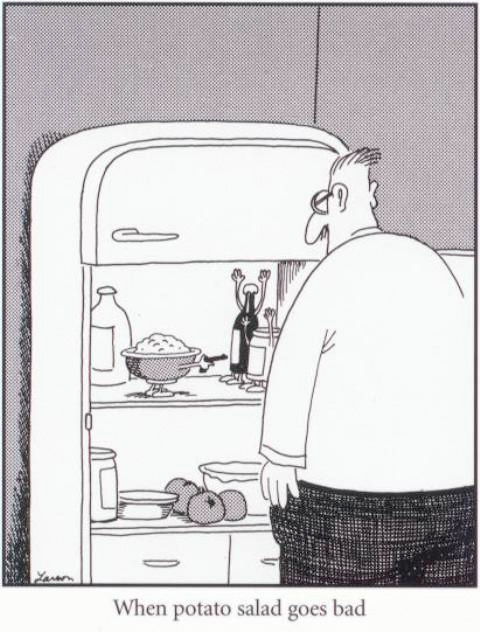 farsidegoesbad.jpg