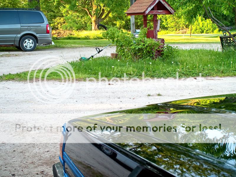 231dbbe4.jpg
