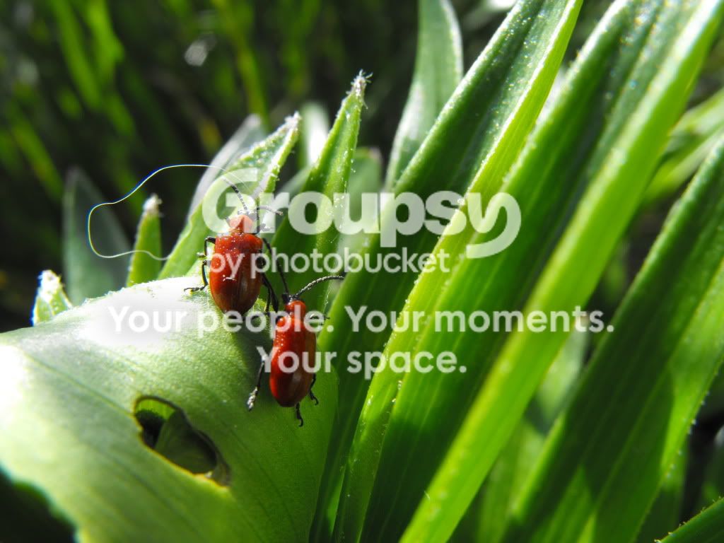 june1220094579.jpg