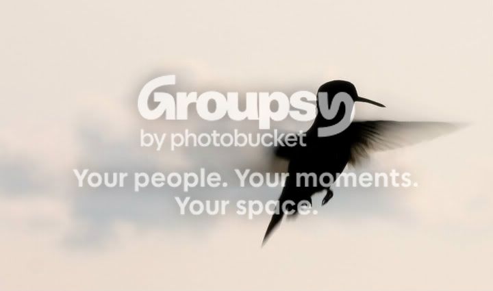 bird1.jpg