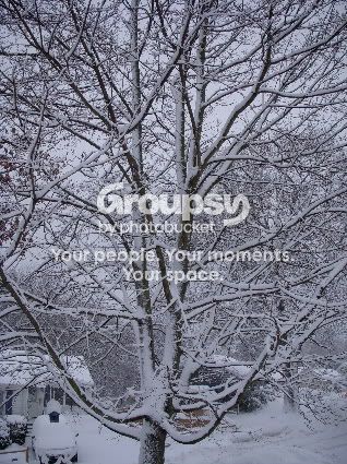 winterfc043.jpg