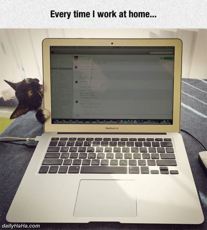 when_i_work_at_home.jpg