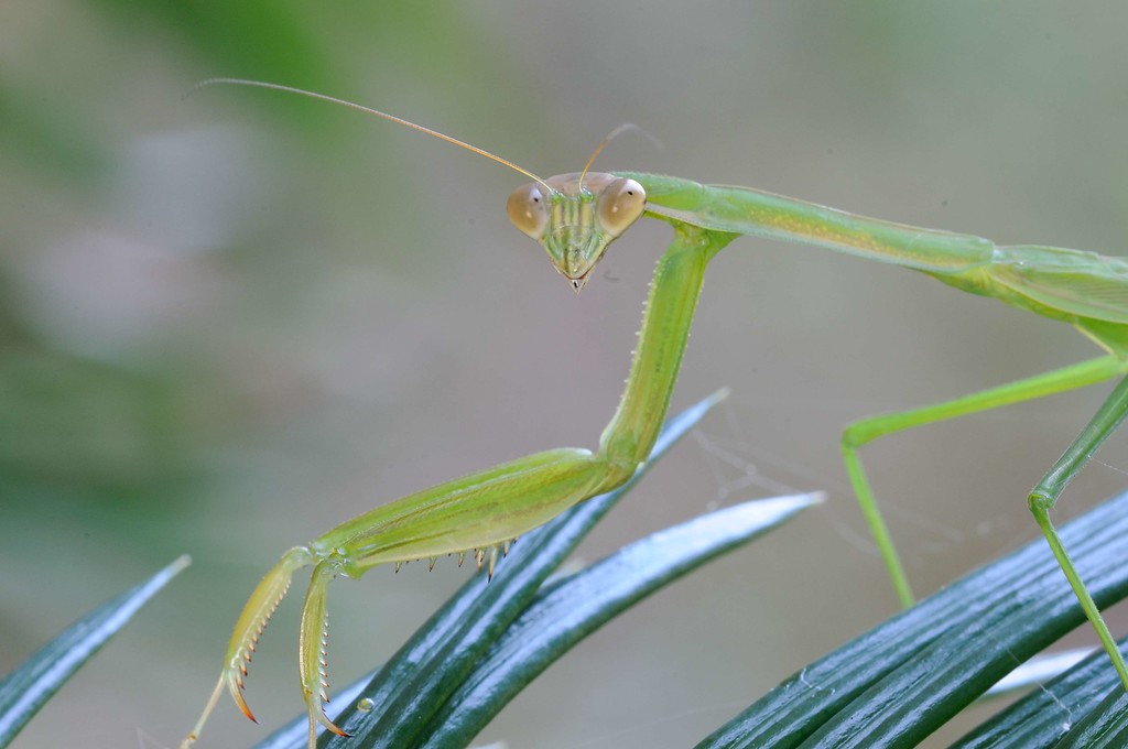 DSC_00036-XL.jpg
