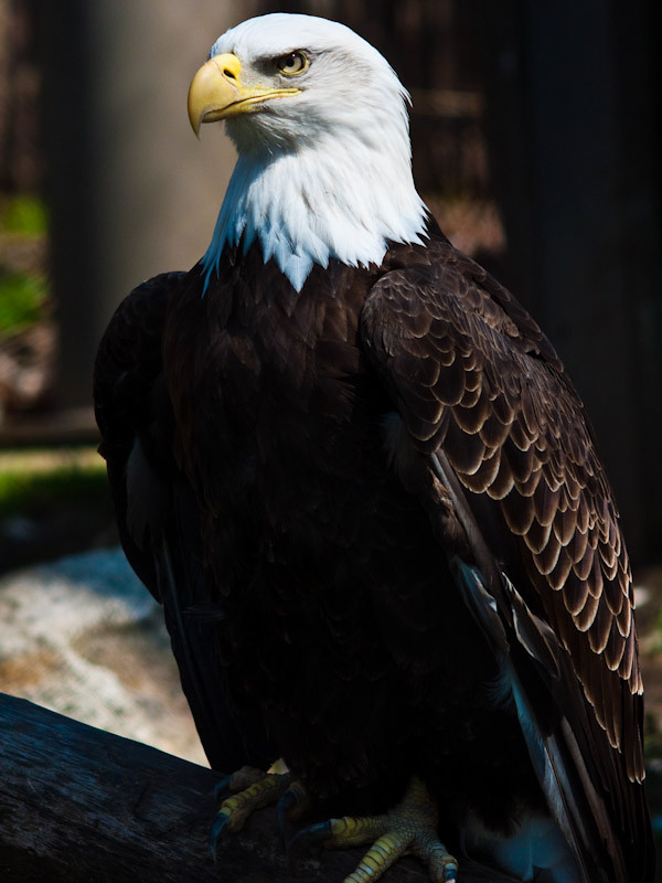 5808836484_5f309a4ab9_b.jpg