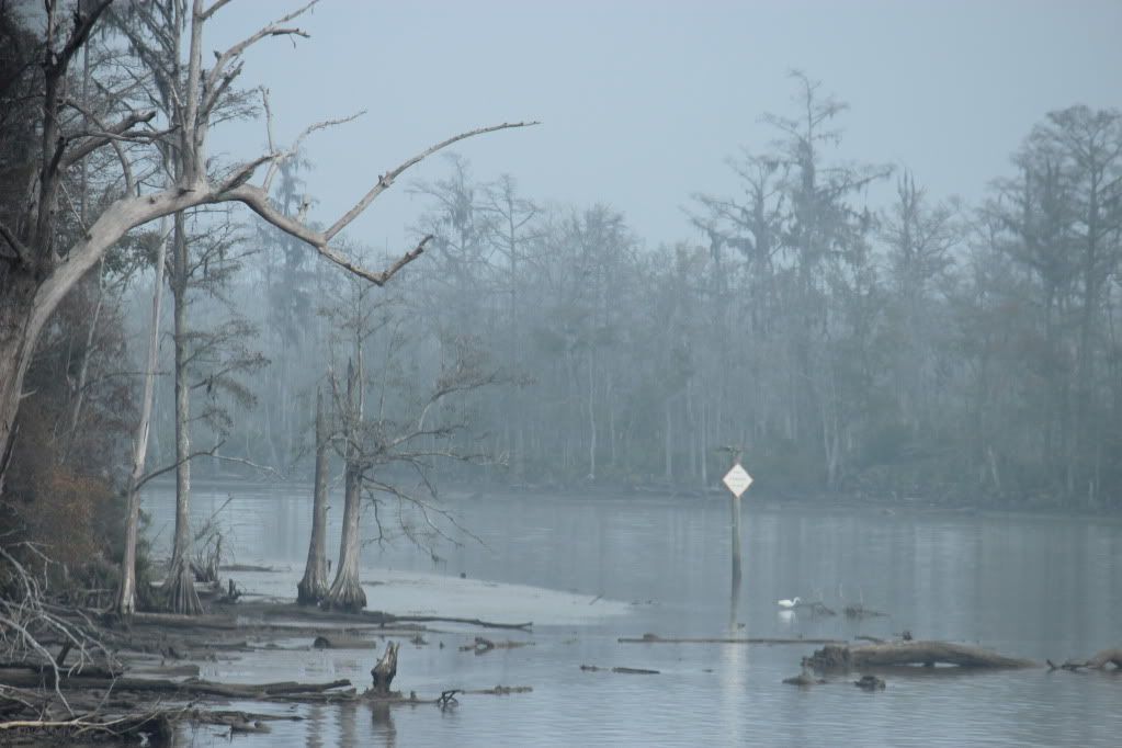 Boatpics003.jpg