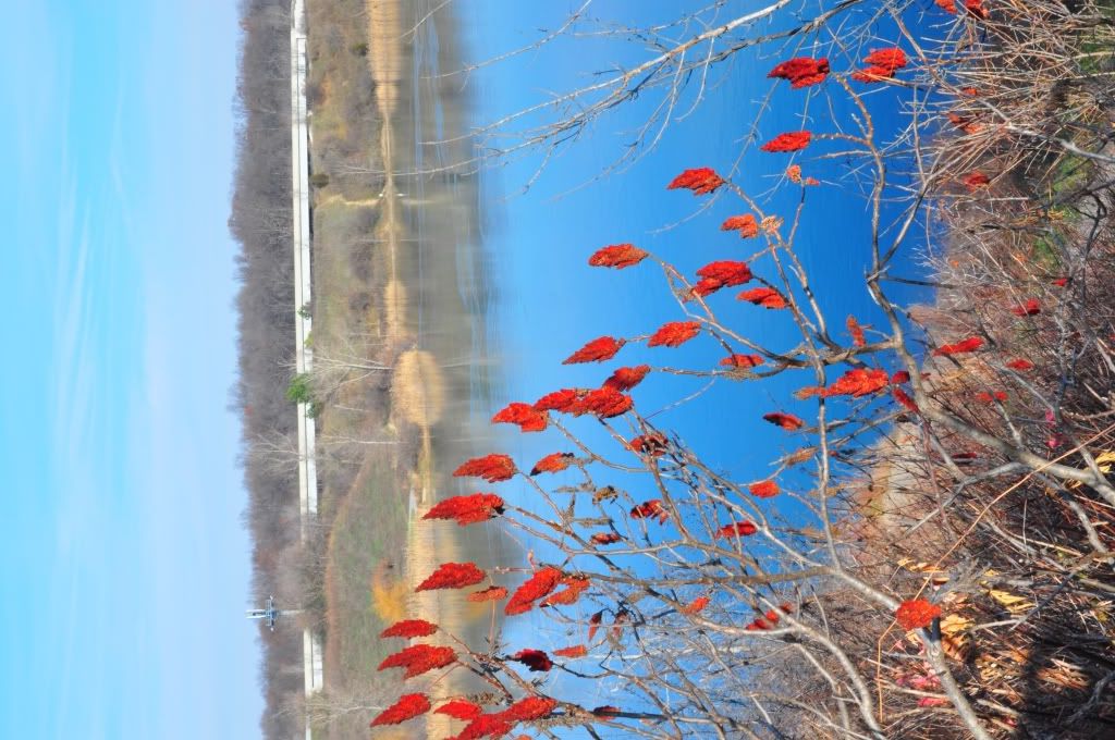 DSC_0318.jpg