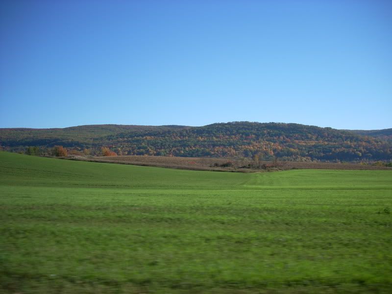 Picture001.jpg