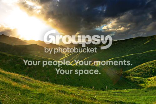 green_sunset.jpg