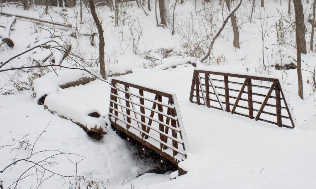 snowybridge.jpg
