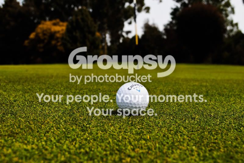 golf01.jpg