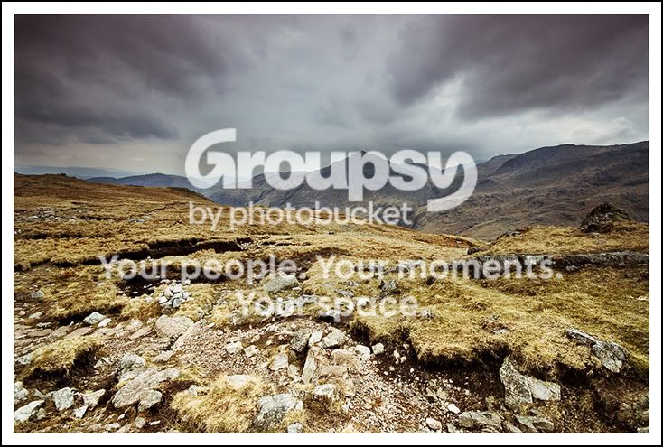 lake-grasscopy01.jpg