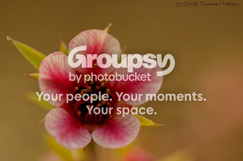 _IGP6541.jpg