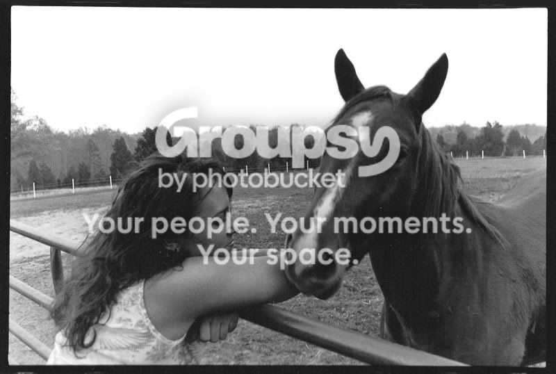 CassHorse.jpg