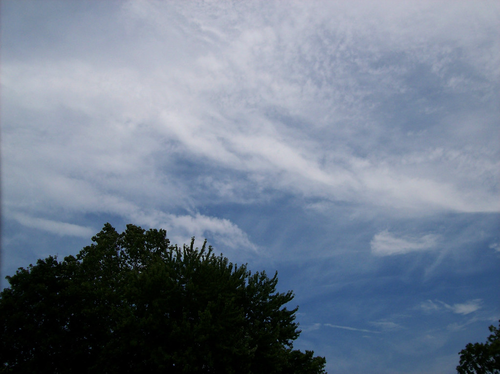 2732914796_85f1449275_b.jpg