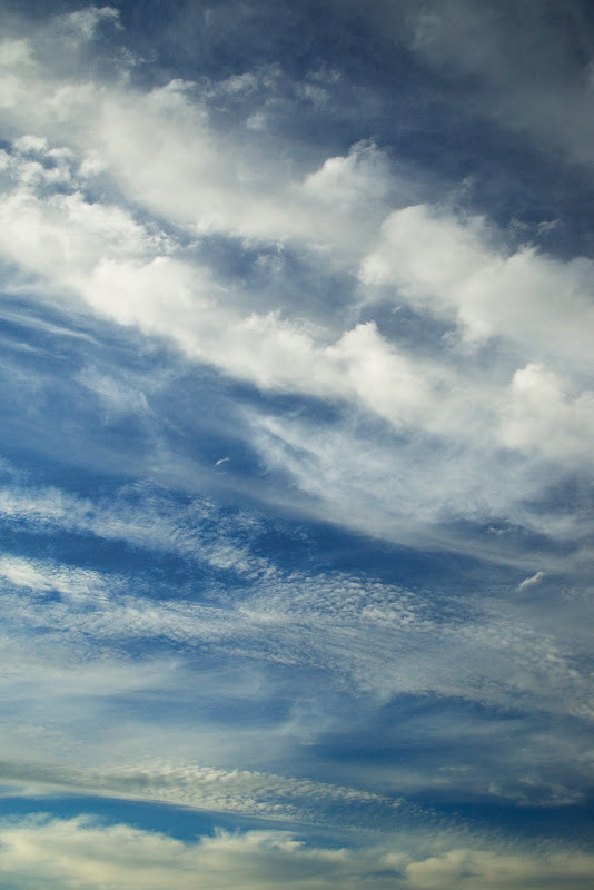 DSC_8794.jpg
