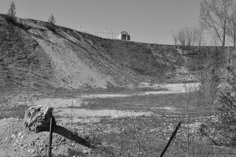CSC_0337.jpg