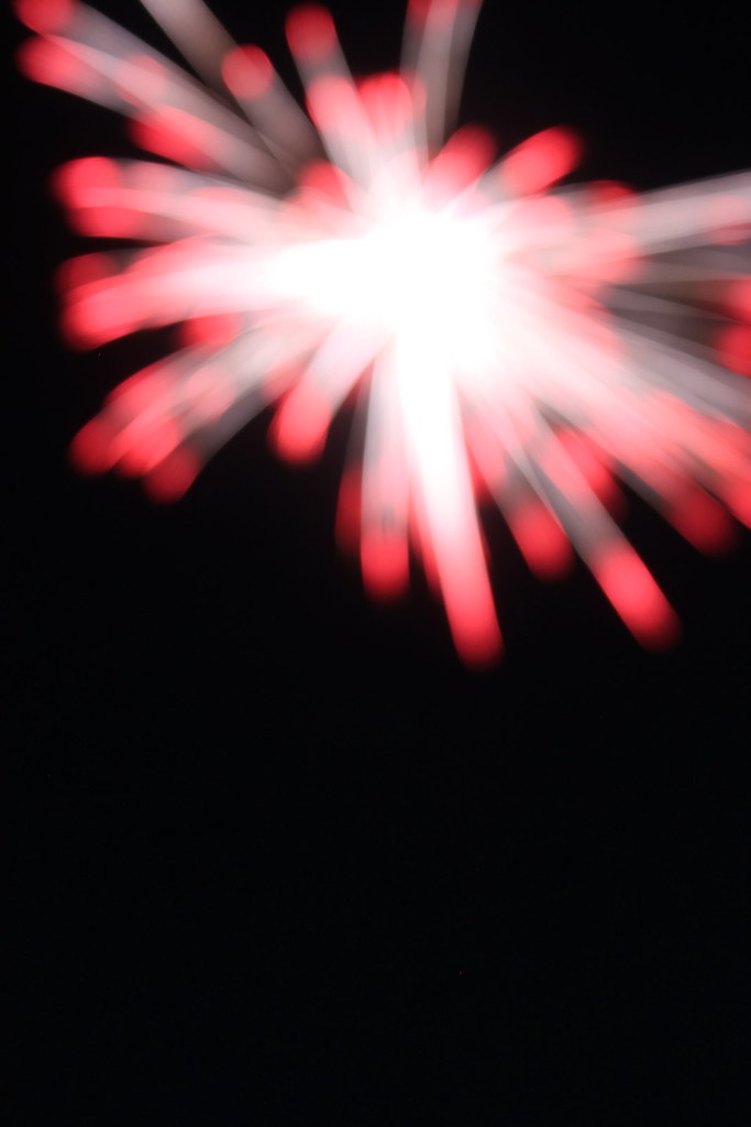 4880256335_cb6c1378ec_b.jpg