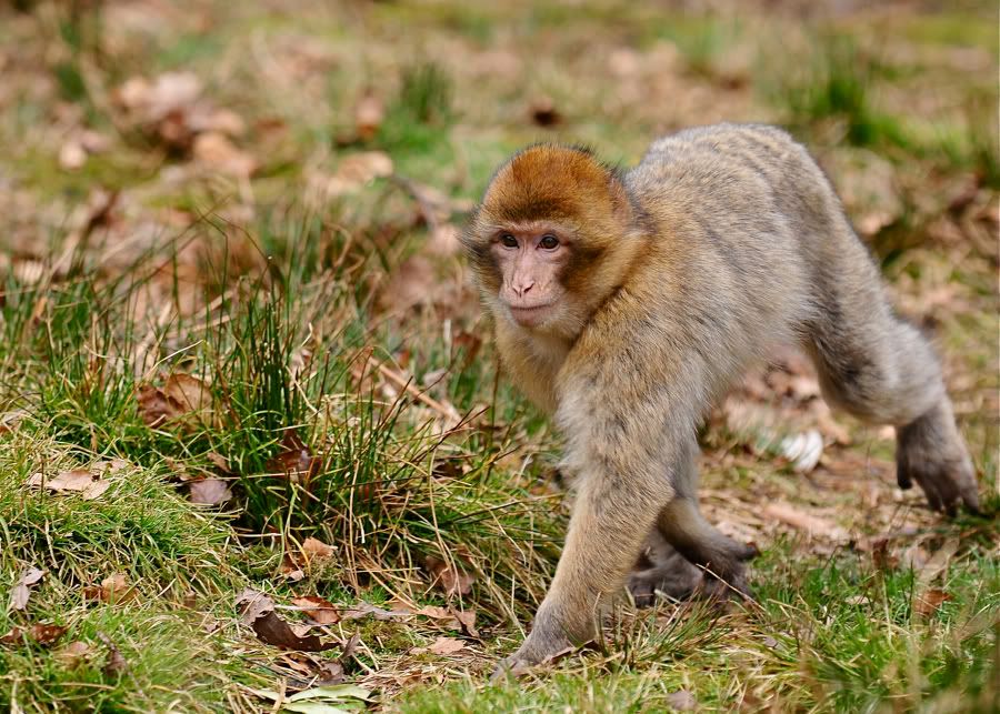 DSC_0098.jpg