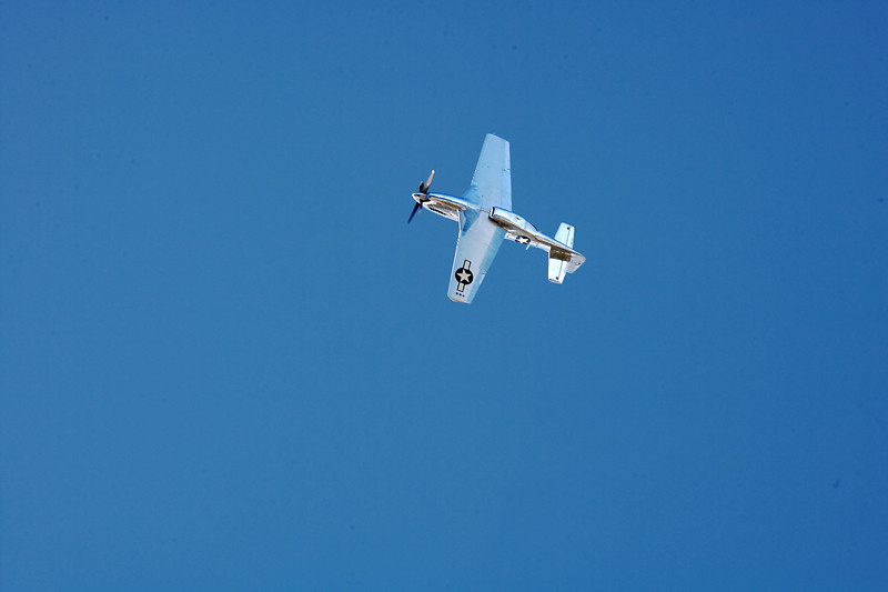 2CBL1589-L.jpg
