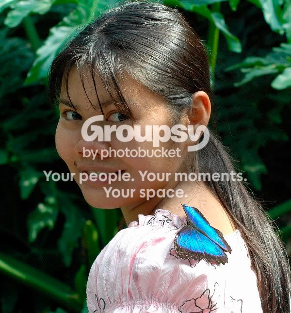 websize2005-09-14_9.jpg