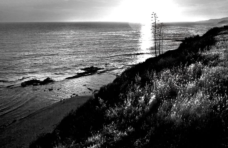 _1090400.jpg