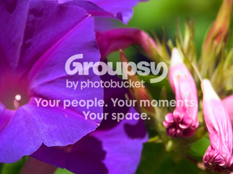 PICT2090as-usm.jpg