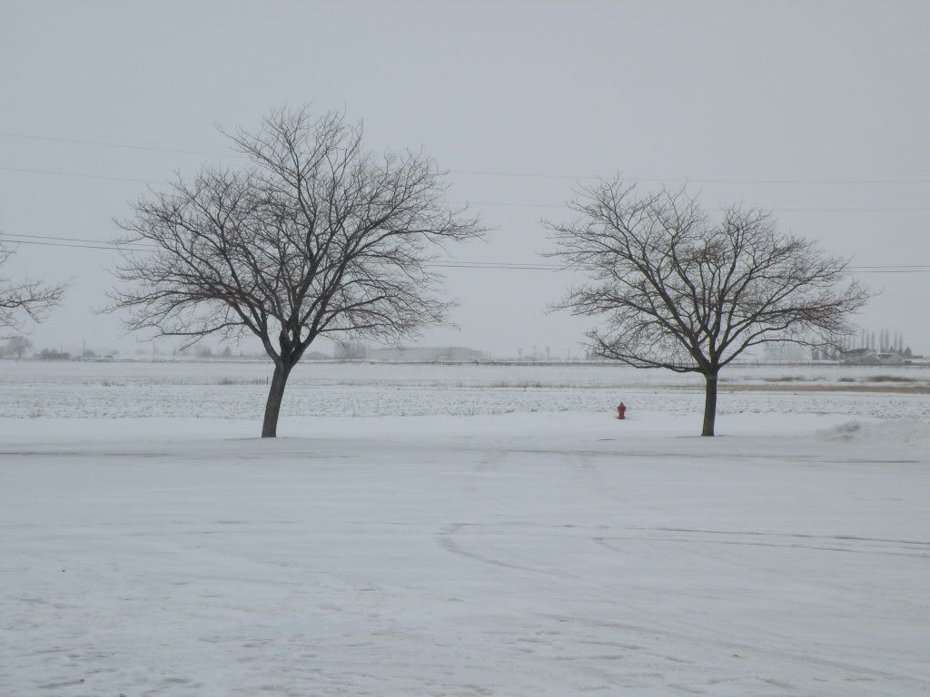 DSCN0985.jpg
