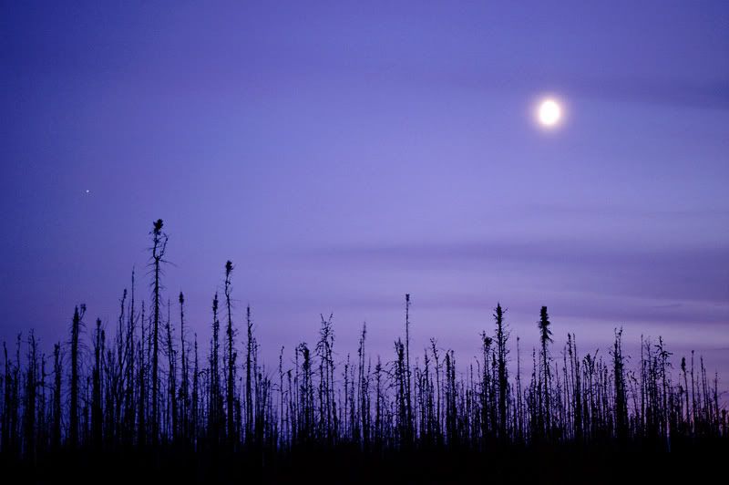 moonscape.jpg